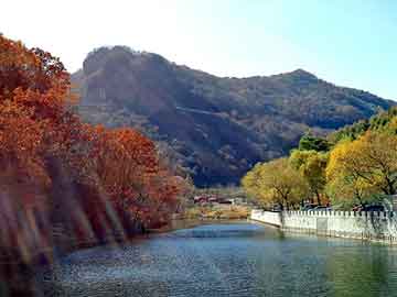 澳门天天彩期期精准平肖，井冈山seo排名